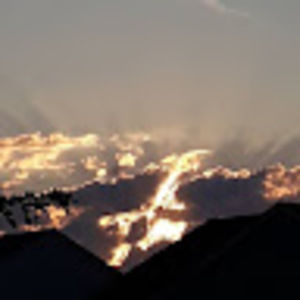 Meet your Posher, Eli